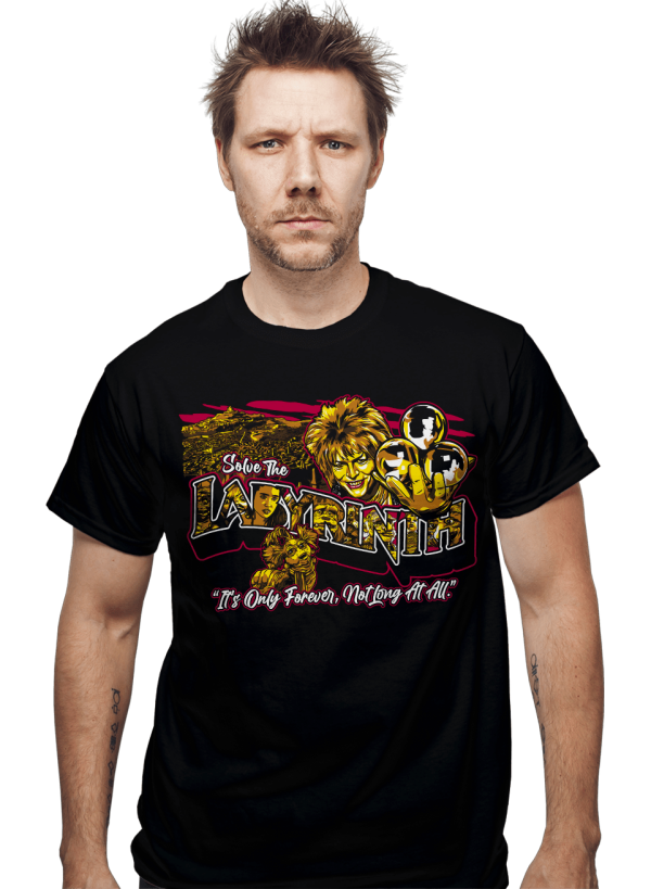 Solve The Labyrinth Online Sale - Image 2
